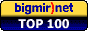 bigmir TOP100